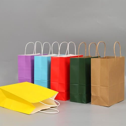 Paper bag with handle case